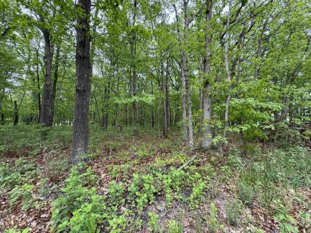 L15 L15 02 Ash Avenue, Galloway Township, NJ, 08205 Aditional Picture