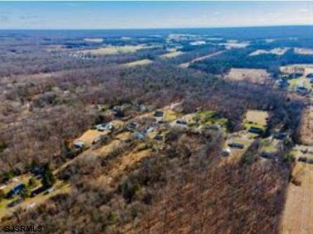 1171 Marshall Mill Rd, Franklinville, NJ, 08322 Aditional Picture