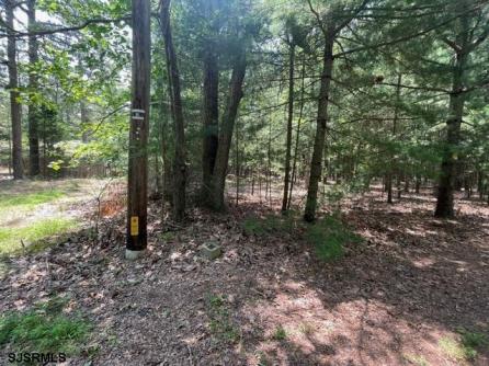  Columbia, Mullica Township, NJ, 08215 Aditional Picture