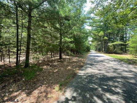  Columbia, Mullica Township, NJ, 08215 Aditional Picture
