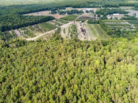 468 Hands Mill, Dennis Township, NJ, 08270 Aditional Picture