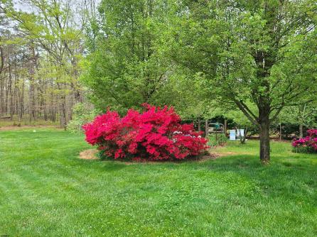 3259 Union Rd, Vineland, NJ, 08361 Aditional Picture
