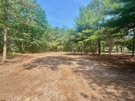 117 Leeds Point Road, Galloway Township, NJ, 08205 Aditional Picture