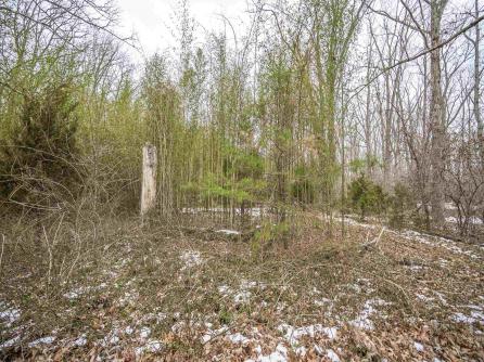 4964 Moss Mill, Mullica Township, NJ, 08215 Aditional Picture