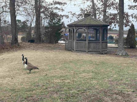 2590 Ridge, Egg Harbor Township, NJ, 08234 Aditional Picture