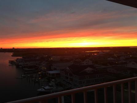 236 Derby, 1005, Ventnor, NJ, 08406 Aditional Picture