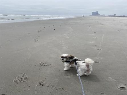3500 Ocean Ave, 6, Brigantine, NJ, 08203 Aditional Picture