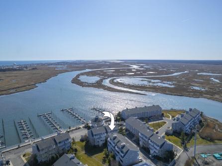 515 Conch, 515 Conch, Ocean City, NJ, 08226 Aditional Picture