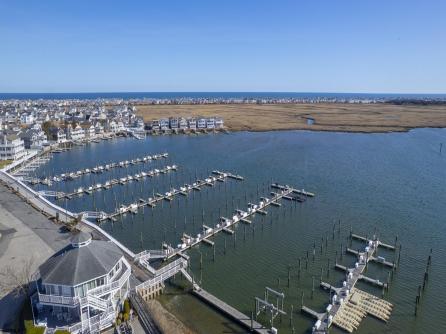 515 Conch, 515 Conch, Ocean City, NJ, 08226 Aditional Picture