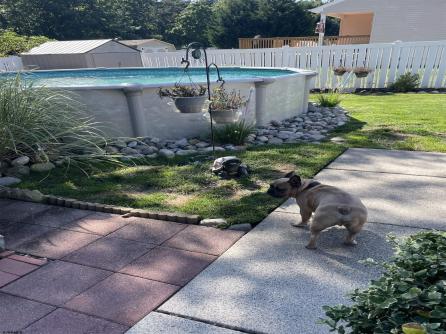 6227 Main, Egg Harbor Township, NJ, 08234 Aditional Picture