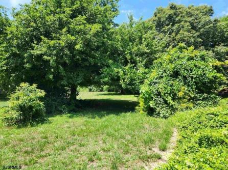 136 Fabian Ave, Northfield, NJ, 08225 Aditional Picture