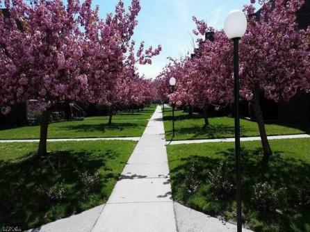 830 Marshall Ct, 830, Ventnor, NJ, 08406 Aditional Picture