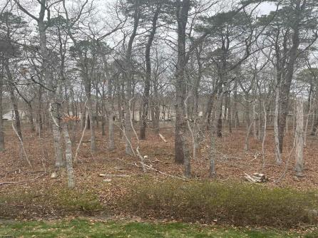 41 Arapaho, 41, Galloway Township, NJ, 08205 Aditional Picture