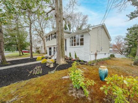 303 Buffalo, Somers Point, NJ, 08244 Aditional Picture