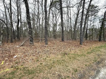 0 White Horse Pike, Galloway Township, NJ, 08205 Aditional Picture