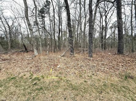 0 White Horse Pike, Galloway Township, NJ, 08205 Aditional Picture