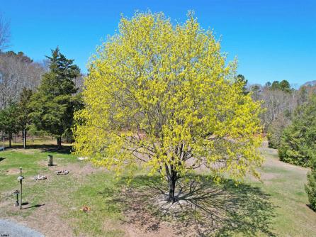 27 Smith Bowen, Galloway Township, NJ, 08205 Aditional Picture
