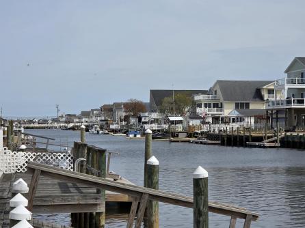 57 Susquehanna Dr, Little Egg Harbor Township, NJ, 08087 Aditional Picture