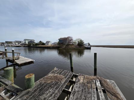 57 Susquehanna Dr, Little Egg Harbor Township, NJ, 08087 Aditional Picture