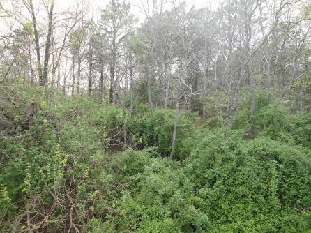 41B Oxford Vlg, B, Egg Harbor Township, NJ, 08234 Aditional Picture