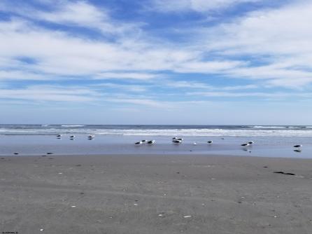 4114 Central Ave, 205, Sea Isle City, NJ, 08243 Aditional Picture