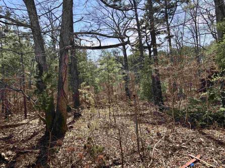 45 White Horse, Galloway Township, NJ, 08205 Aditional Picture