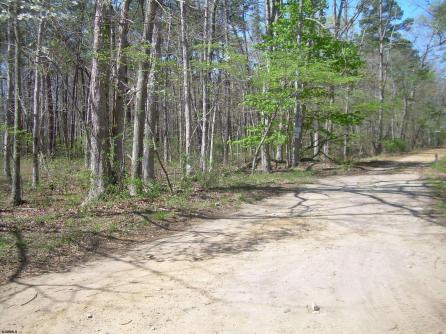 rail road blvd 1, Buena Vista Township, NJ, 08310 Main Picture