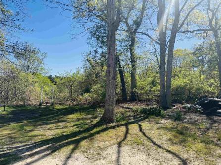 2501 Tilton Rd, Egg Harbor Township, NJ, 08234 Aditional Picture