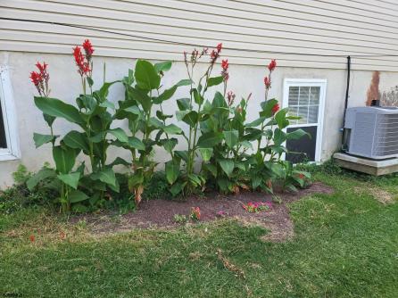 546A Brook Ln, Galloway Township, NJ, 08205 Aditional Picture