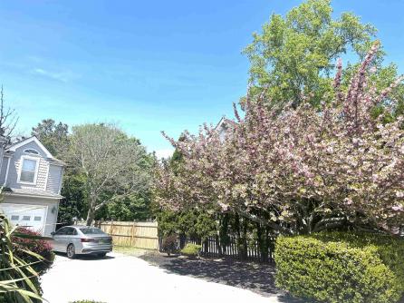 2149 SHORE, Linwood, NJ, 08221 Aditional Picture