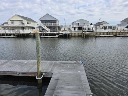 109 Schuylkill, Little Egg Harbor Township, NJ, 08087 Aditional Picture