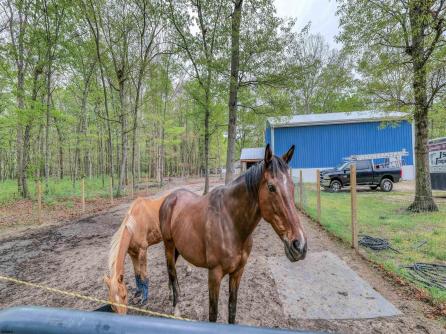 411 Spencer, Galloway Township, NJ, 08205 Aditional Picture