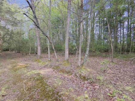 432 Pancoast Mill, Buena Vista Township, NJ, 08310 Aditional Picture