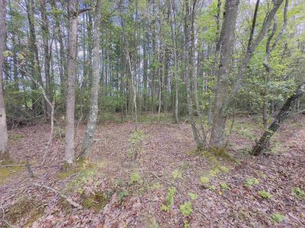 432 Pancoast Mill, Buena Vista Township, NJ, 08310 Aditional Picture