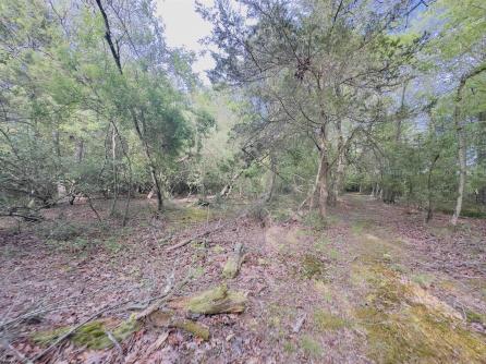 432 Pancoast Mill, Buena Vista Township, NJ, 08310 Aditional Picture