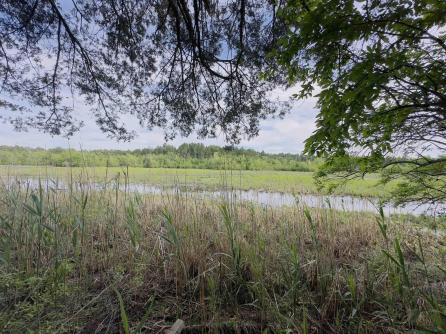 432 Pancoast Mill, Buena Vista Township, NJ, 08310 Aditional Picture