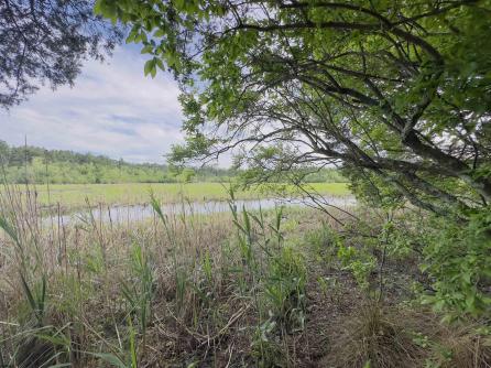 432 Pancoast Mill, Buena Vista Township, NJ, 08310 Aditional Picture