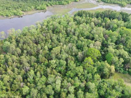 432 Pancoast Mill, Buena Vista Township, NJ, 08310 Aditional Picture