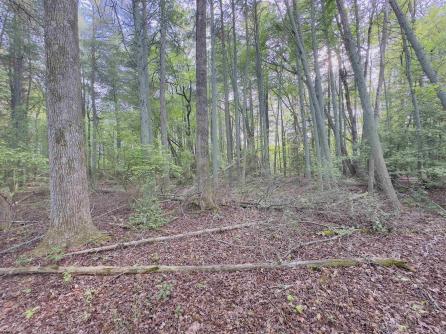 432 Pancoast Mill, Buena Vista Township, NJ, 08310 Aditional Picture