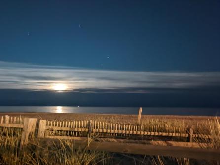 15 Douglas, Margate, NJ, 08402 Aditional Picture