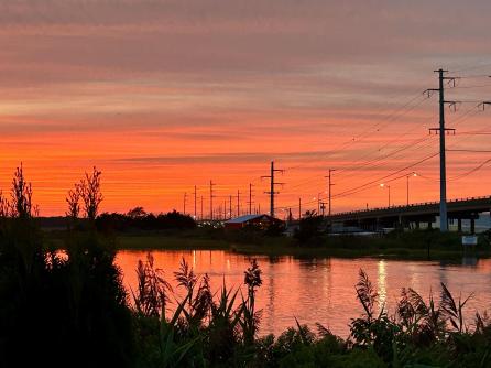 813 Periwinkle, 813, Ocean City, NJ, 08226 Aditional Picture