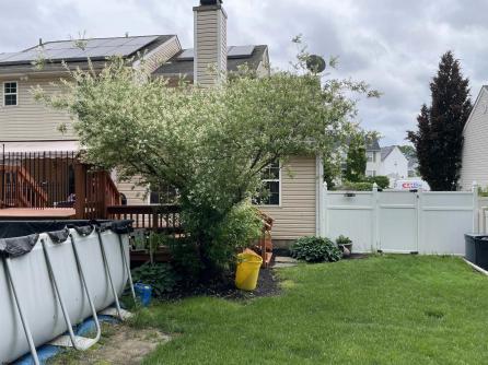 79 Annapolis Dr, Sicklerville, NJ, 08081 Aditional Picture