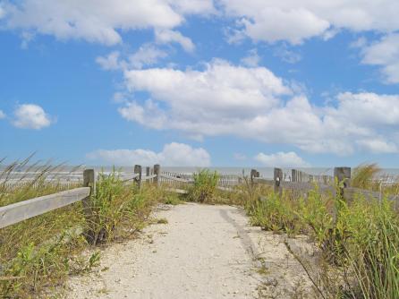 5200 Boardwalk, 12F, Ventnor, NJ, 08406 Aditional Picture