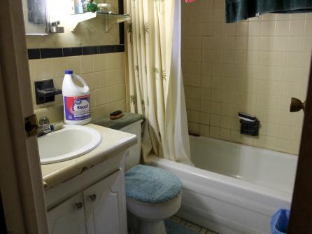 4855 Pleasant Mills Rd., Mullica Township, NJ, 08037 Aditional Picture