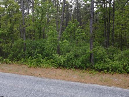 00 Holly, Hamilton Township, NJ, 08330 Aditional Picture