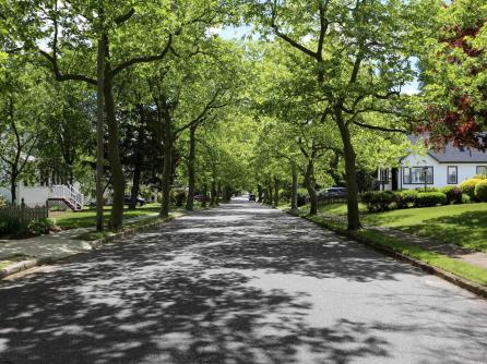14 Rosedale, Northfield, NJ, 08225 Aditional Picture
