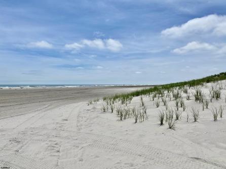 6772 Ocean Drive, 6772, Avalon Boro, NJ, 08202 Aditional Picture