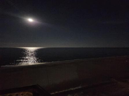 9600 Atlantic Avenue, 1814, Margate, NJ, 08402 Aditional Picture