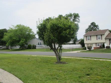 236 Roseann Ave, North Cape May, NJ, 08204 Aditional Picture