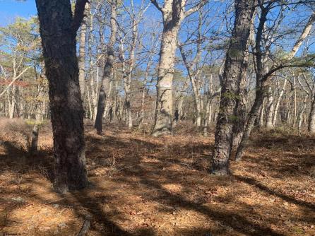  1st, Mays Landing, NJ, 08330 Aditional Picture